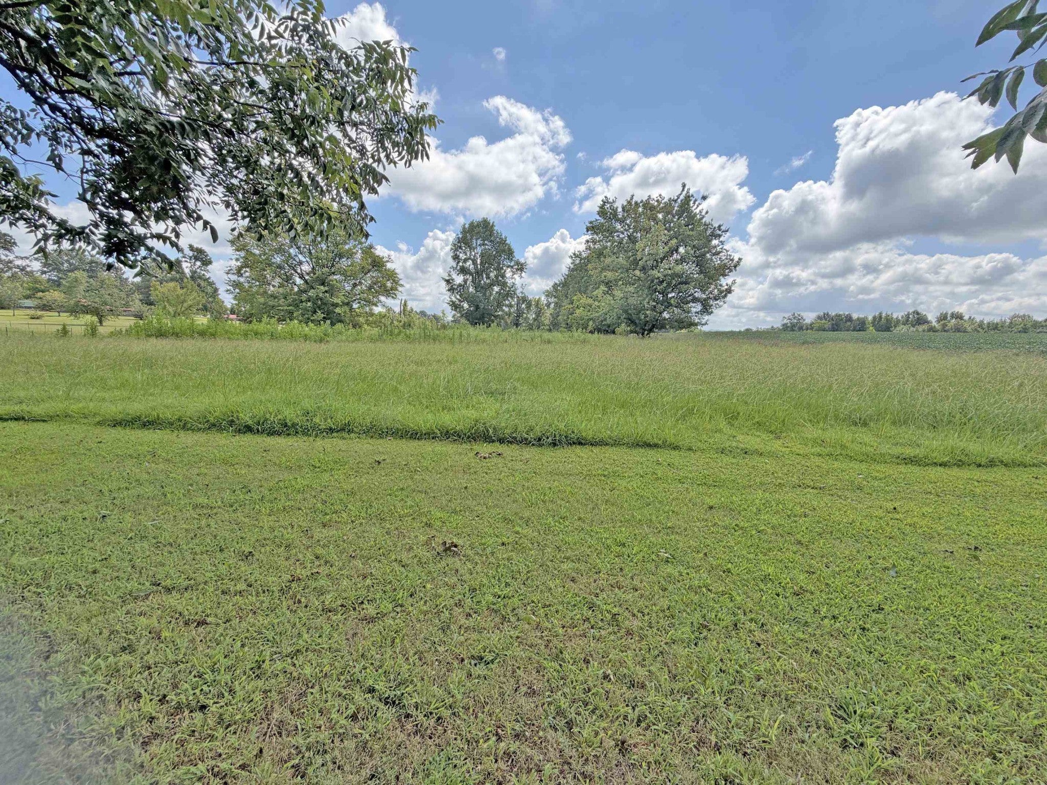 2900 OAK GROVE RD