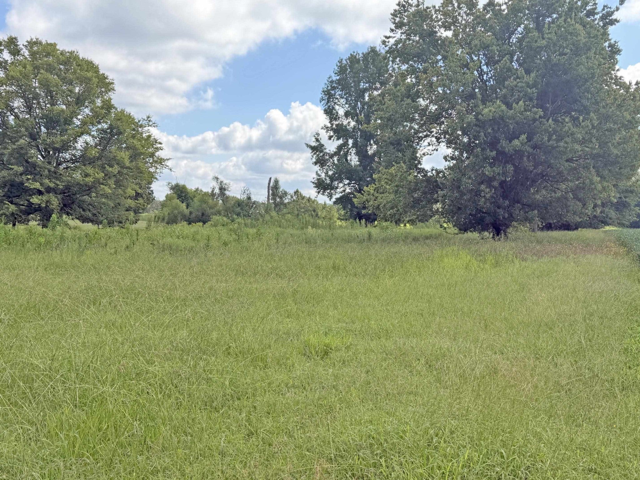 2900 OAK GROVE RD