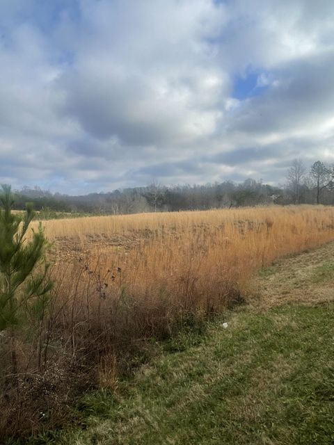 0 S Locust Avenue S Lawrenceburg TN 38464