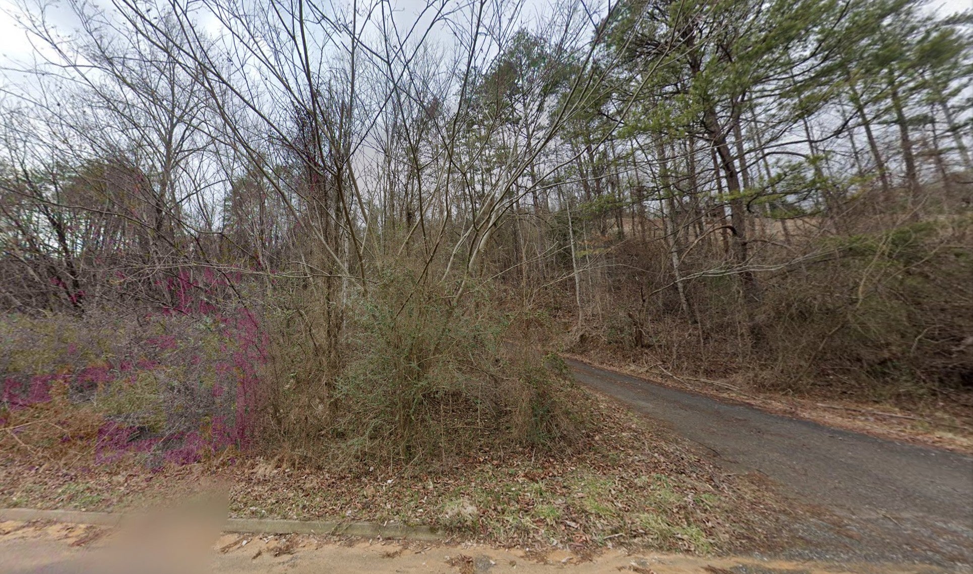 1090 Sharp Hollow Rd