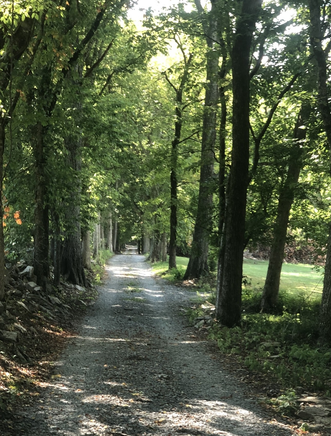 5542 SE Tater Peeler Rd