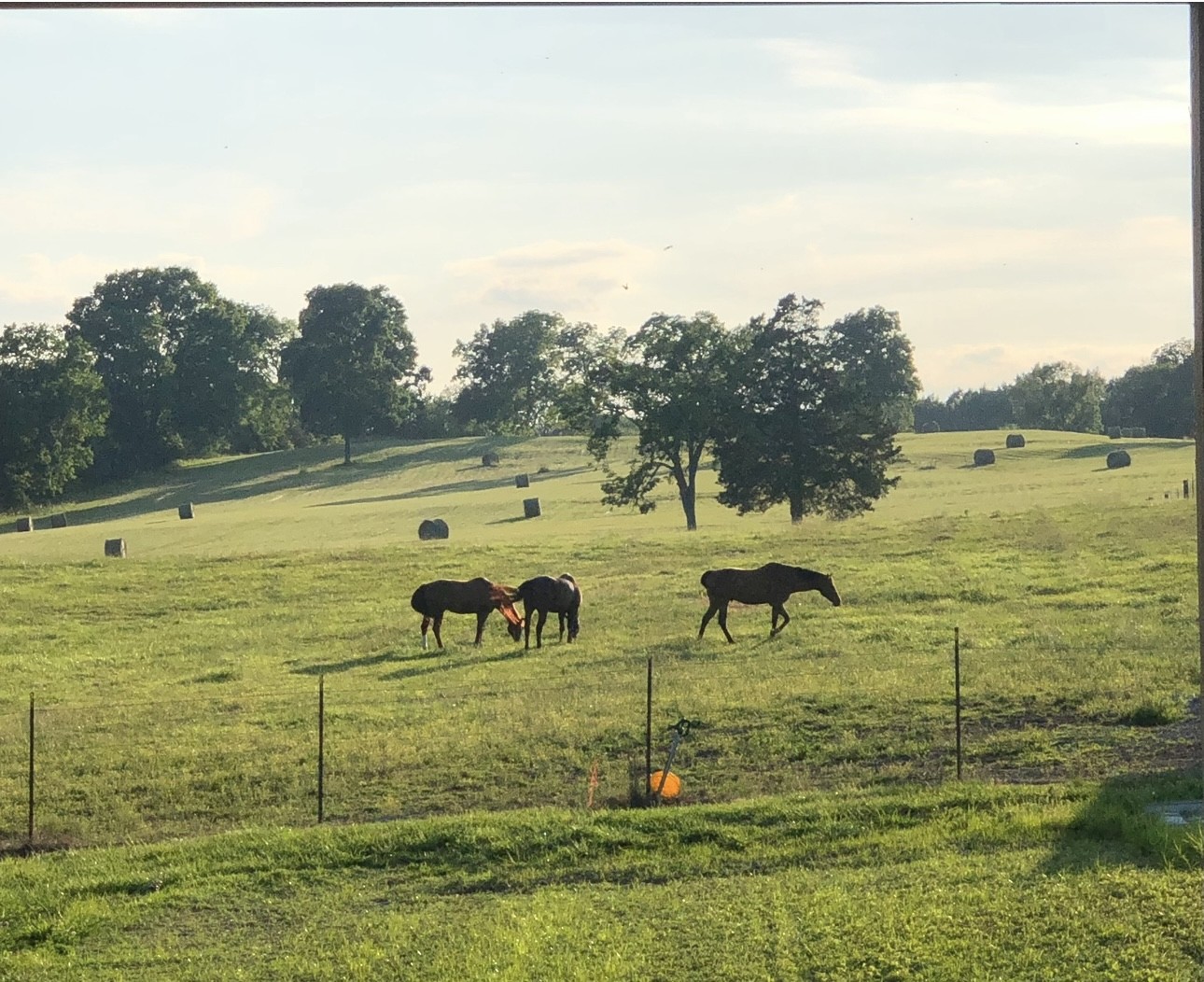 5542 SE Tater Peeler Rd