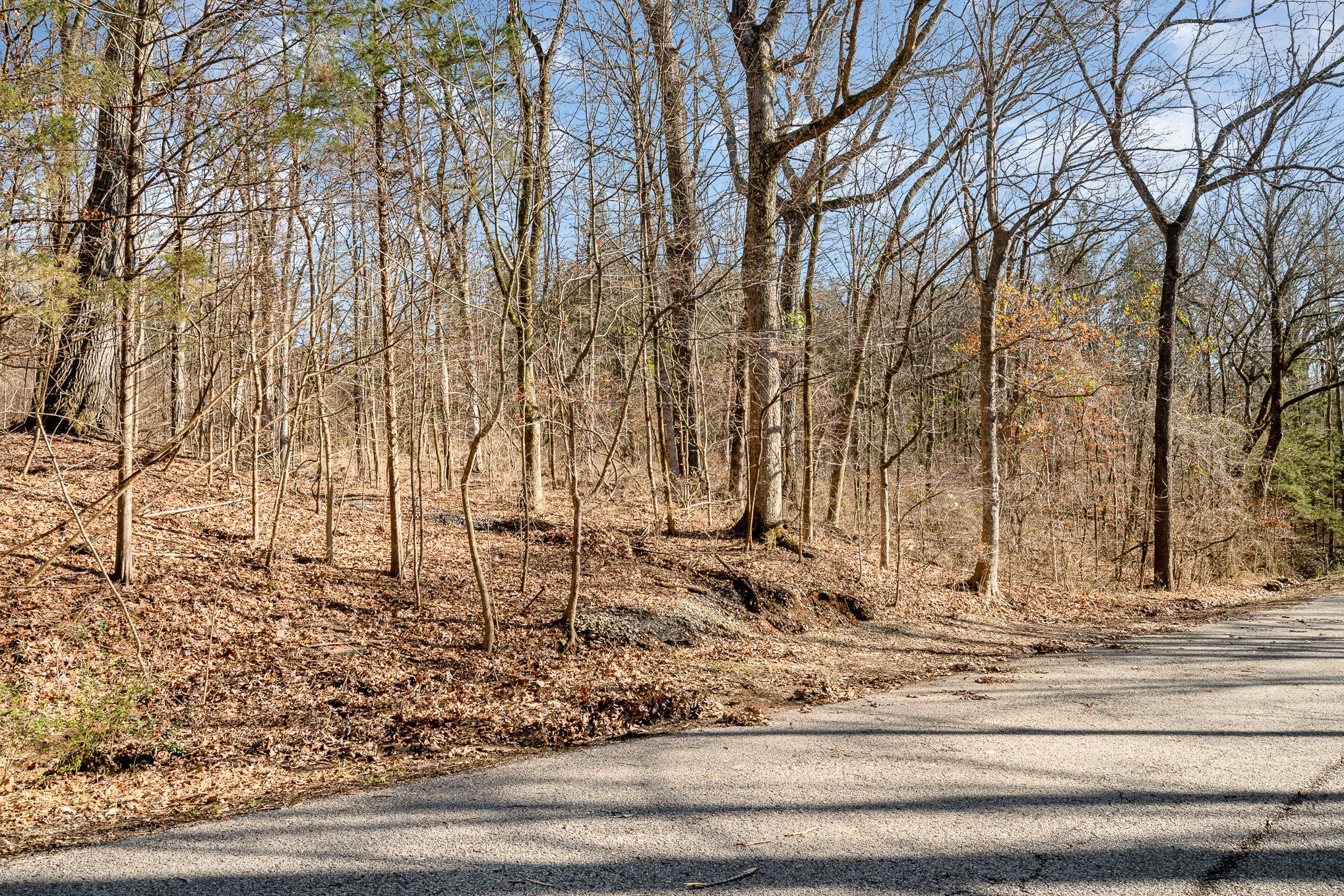1009 Scramblers Knob