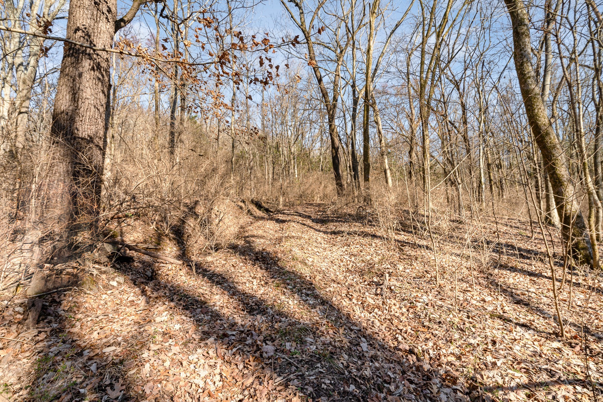 1009 Scramblers Knob