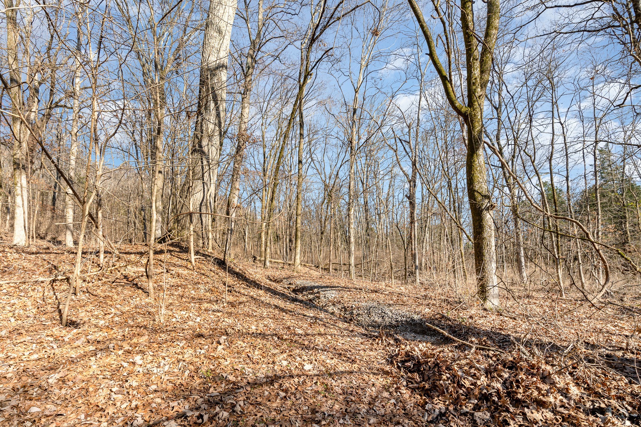 1009 Scramblers Knob