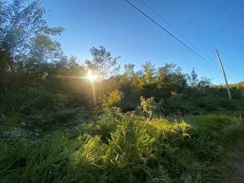 4813 Teludachee Trail South Pittsburg TN 37380