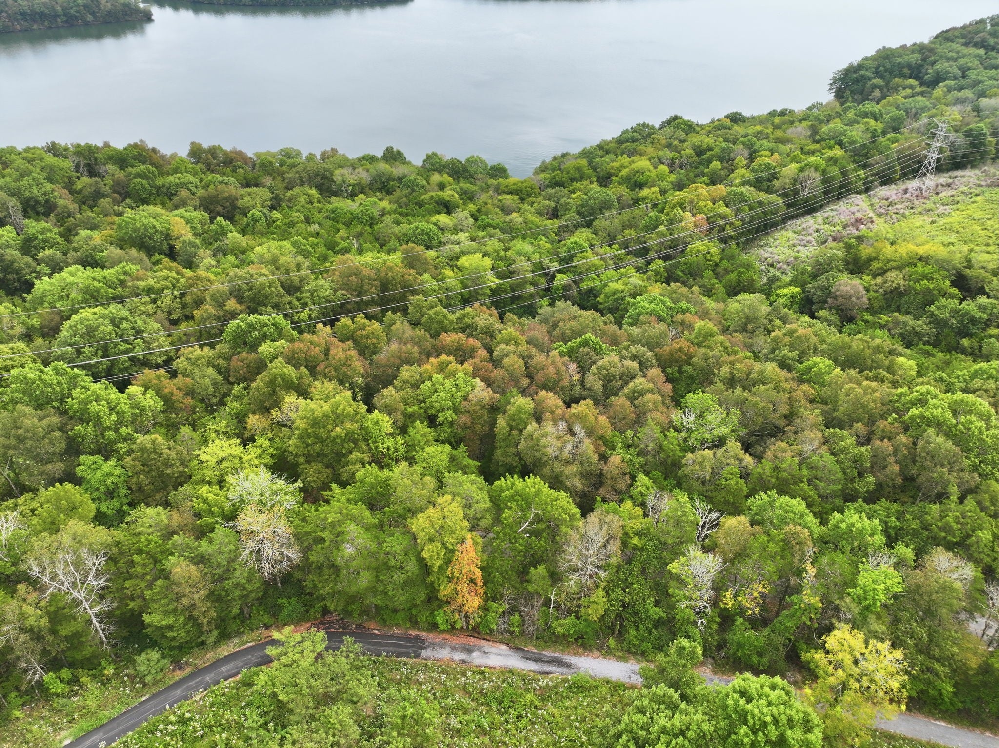 0 Horseshoe Bend Ln