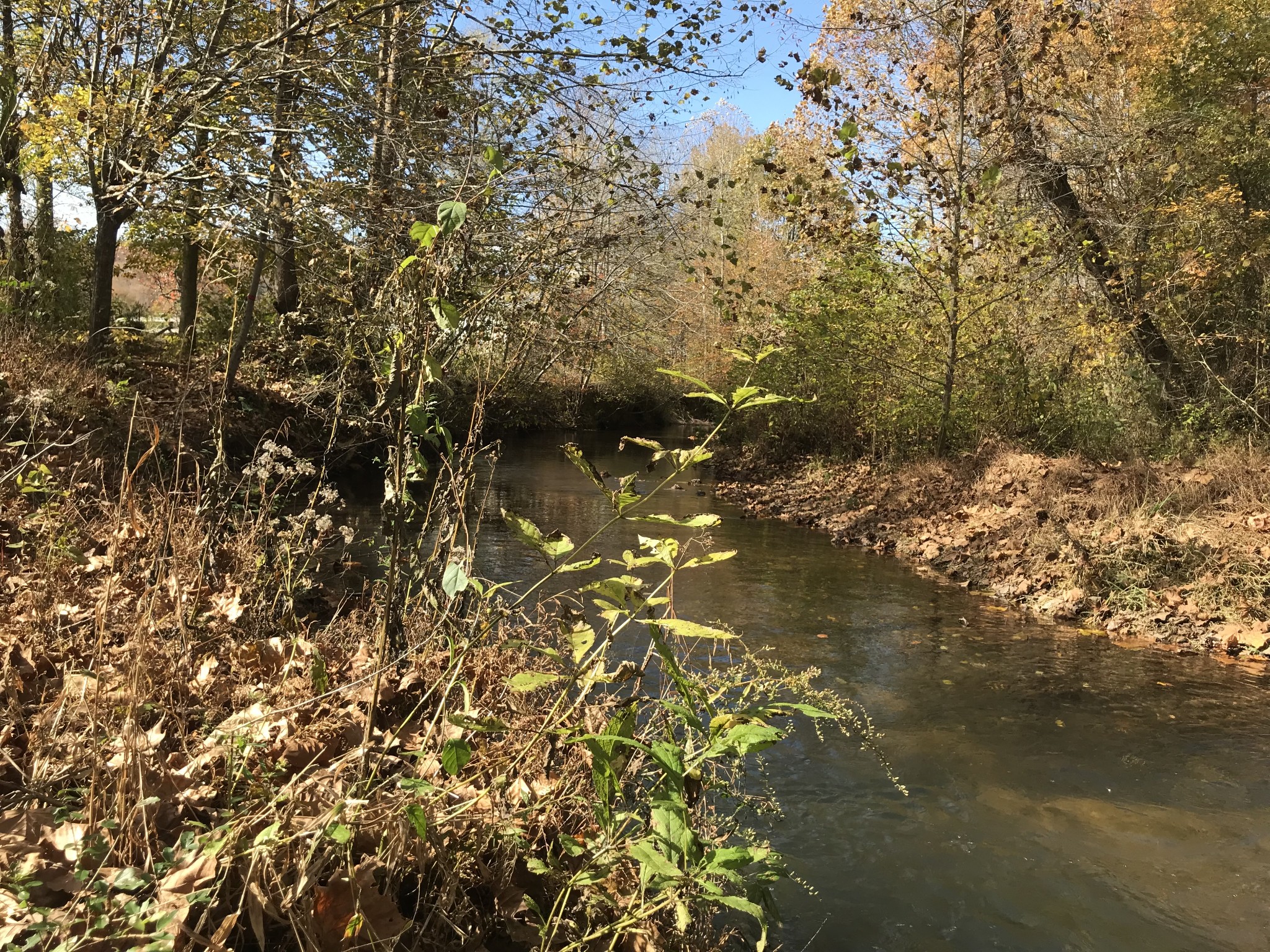 0 Old Weatherford Creek Rd