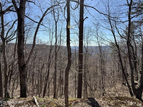 0 Cumberland Cove Rd Monterey TN 38574