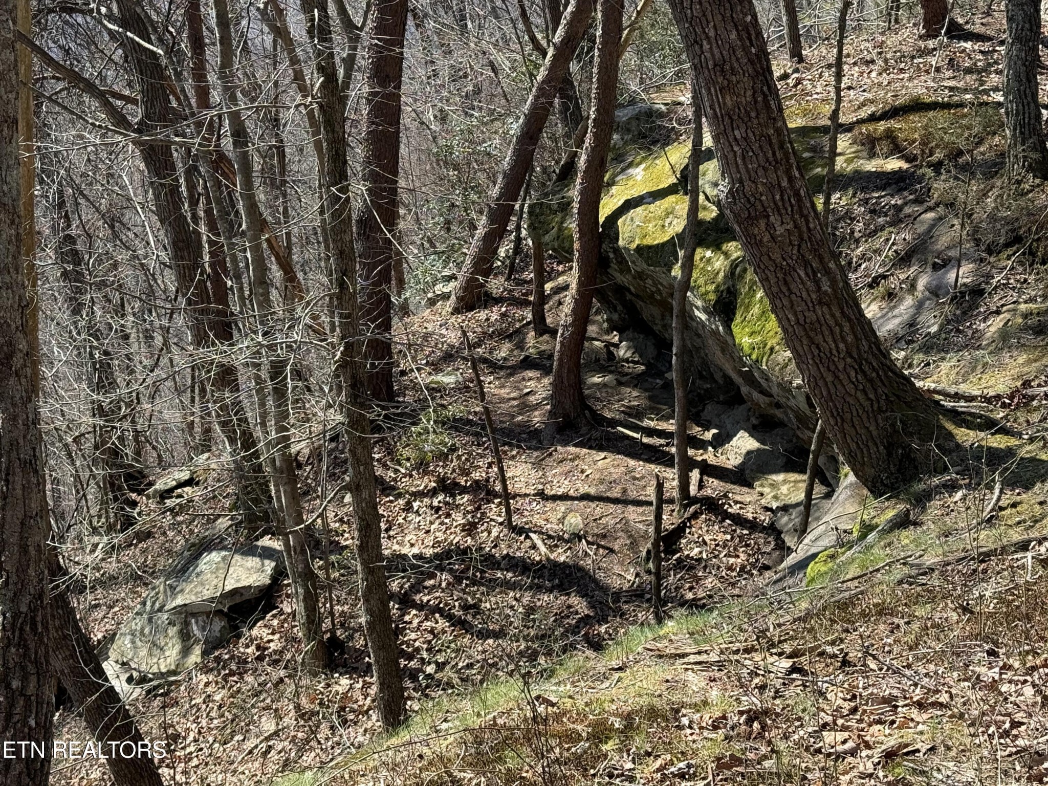 0 Cumberland Cove Rd