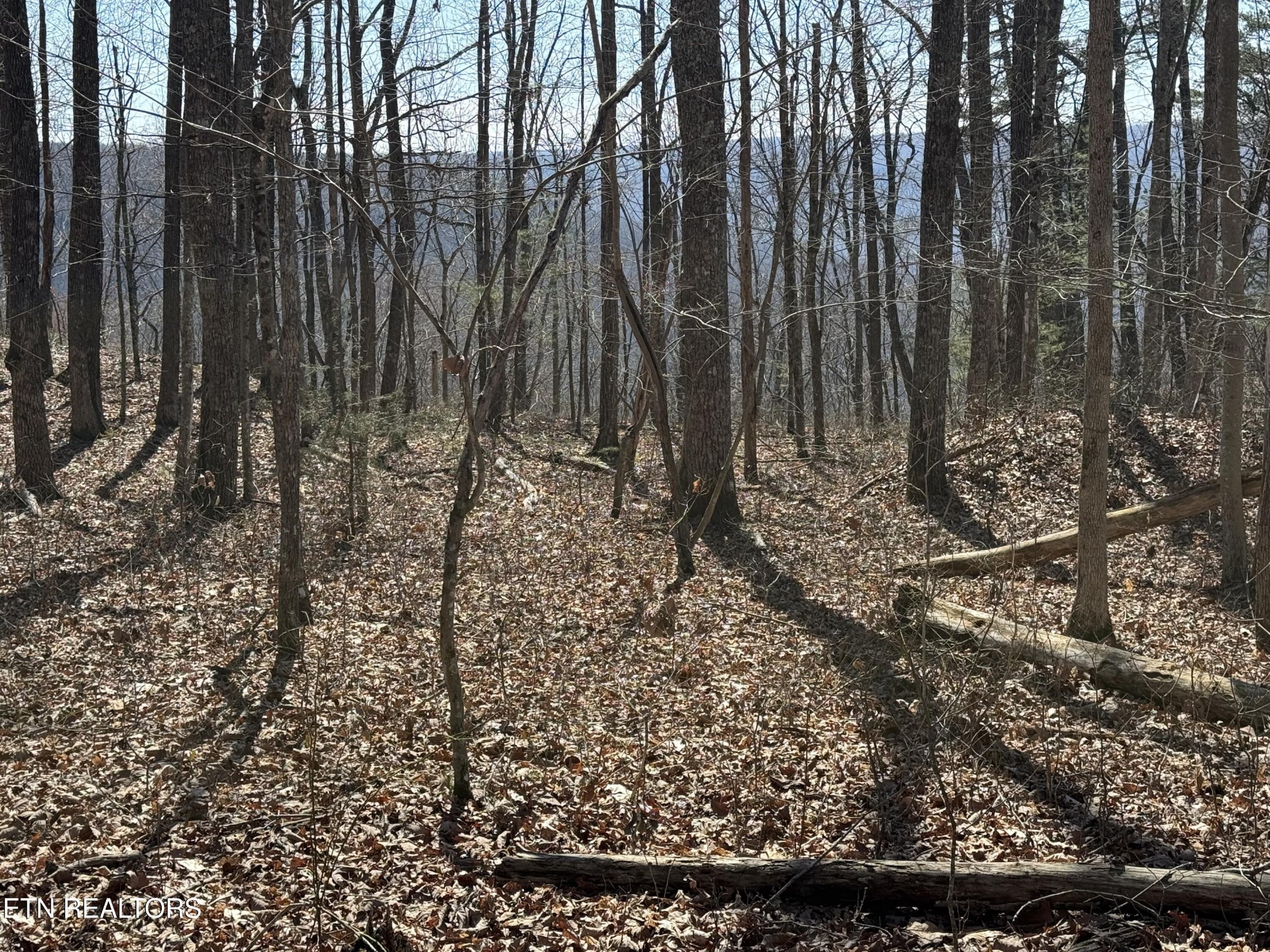 0 Cumberland Cove Rd