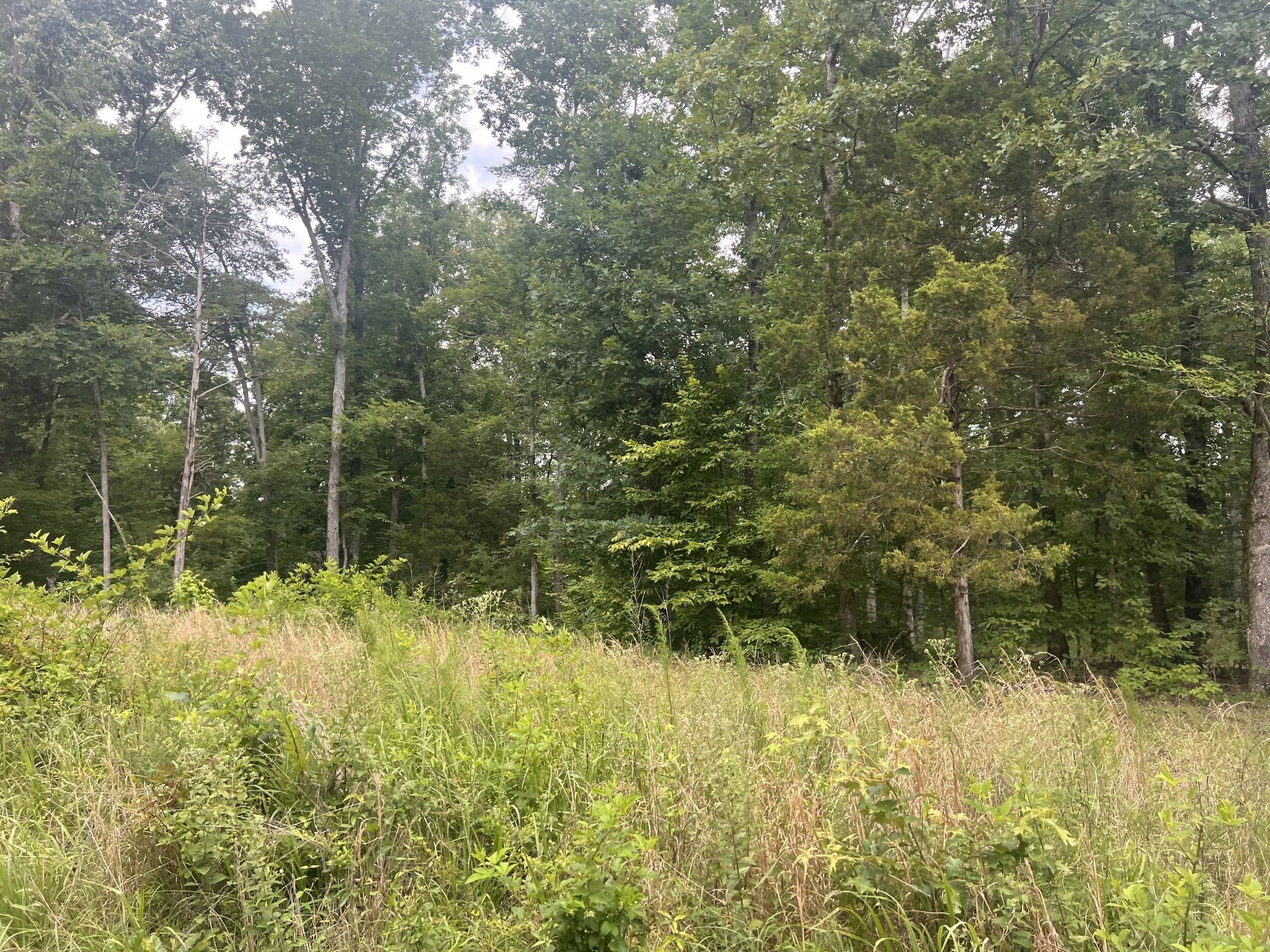 6 LakeView Drive