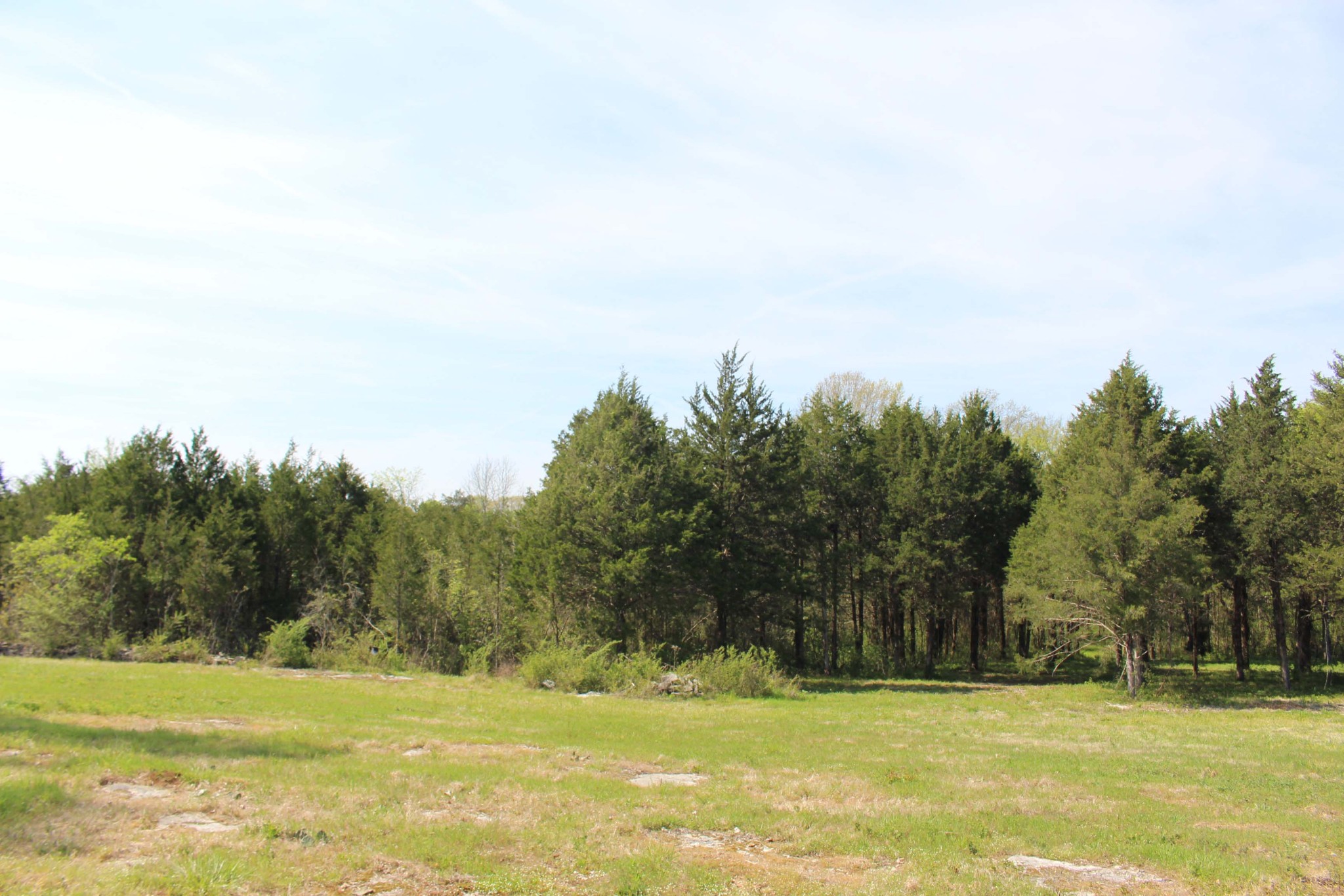 9651 Halls Hill Pike