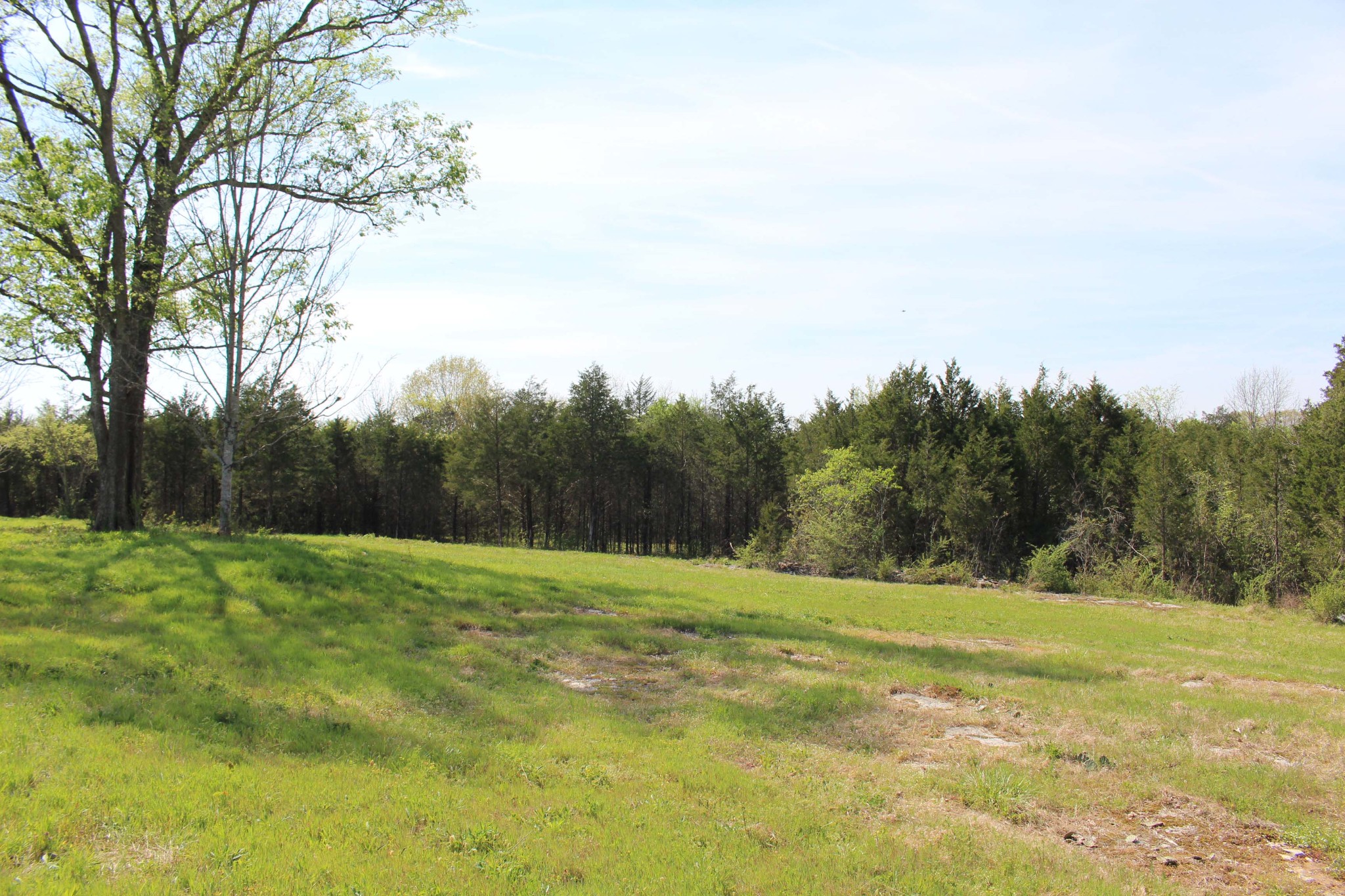 9651 Halls Hill Pike