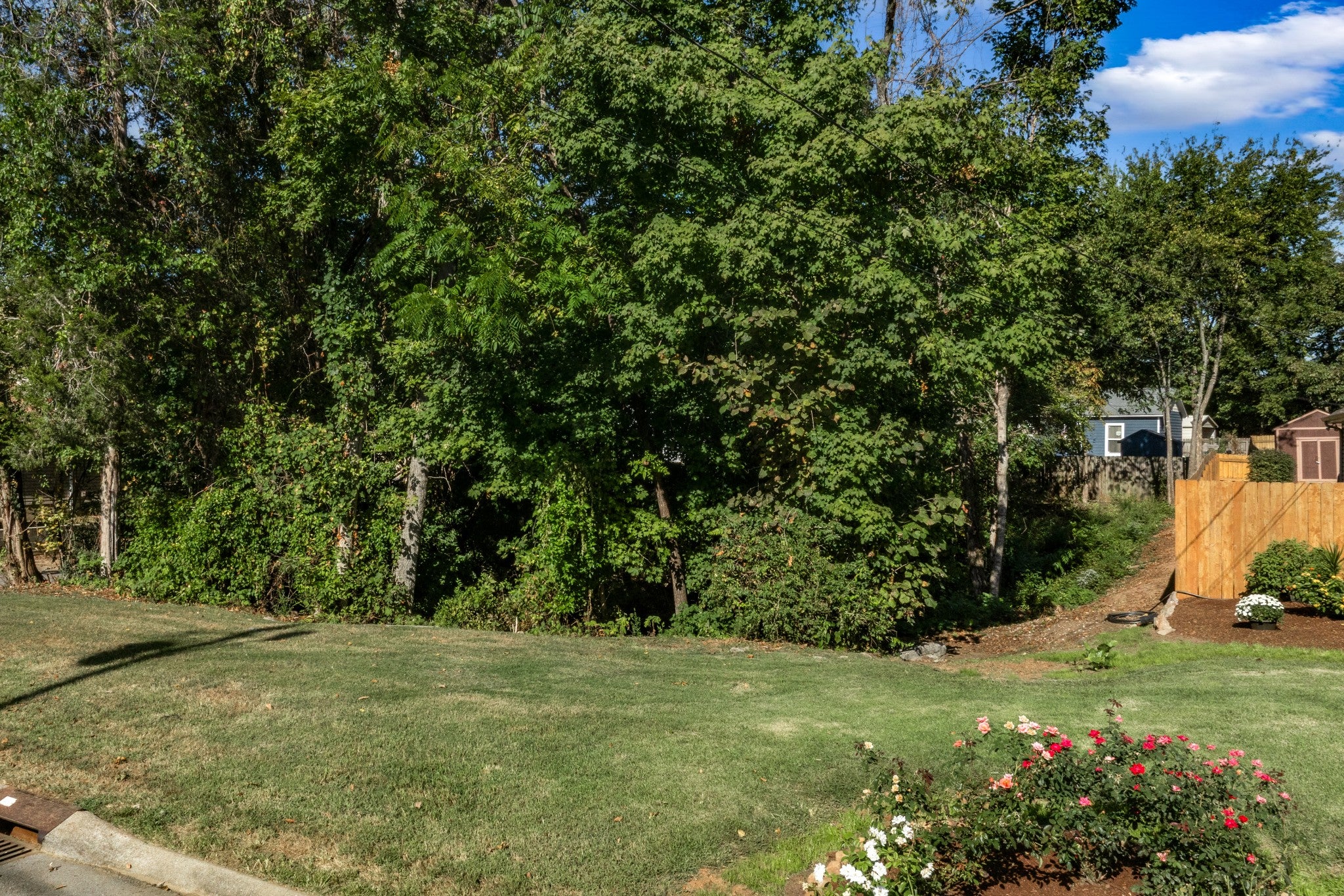 1521 Clayton Drive