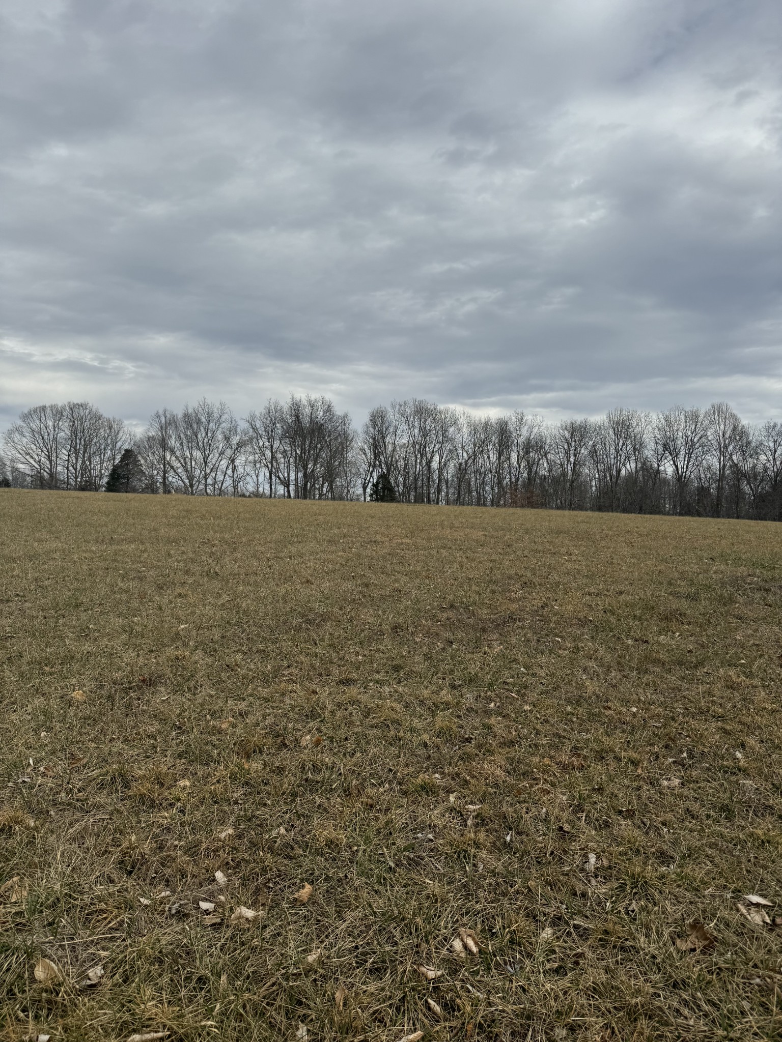 400 White Springs Road