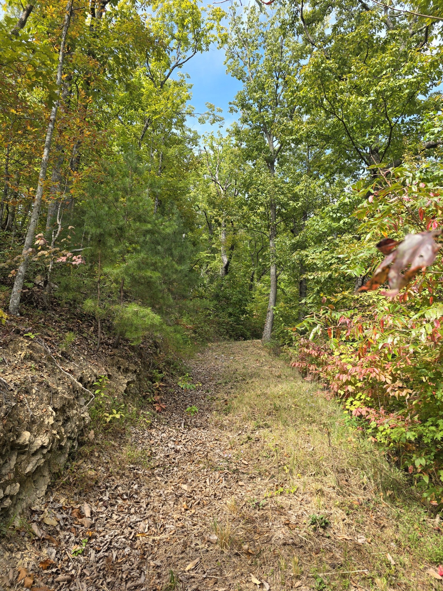 0 Pine Mountain Rd
