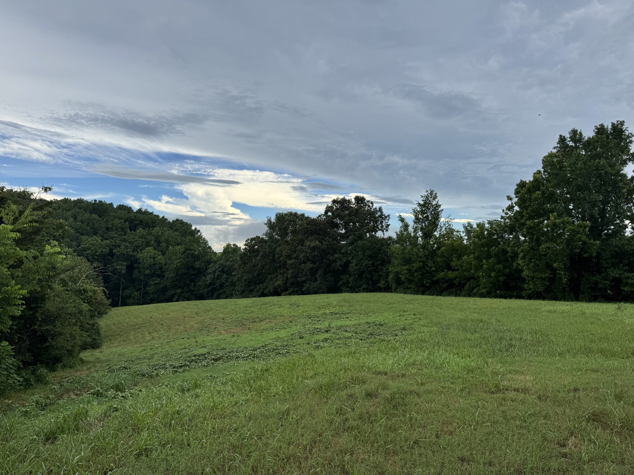 0 Potts Camp Rd
