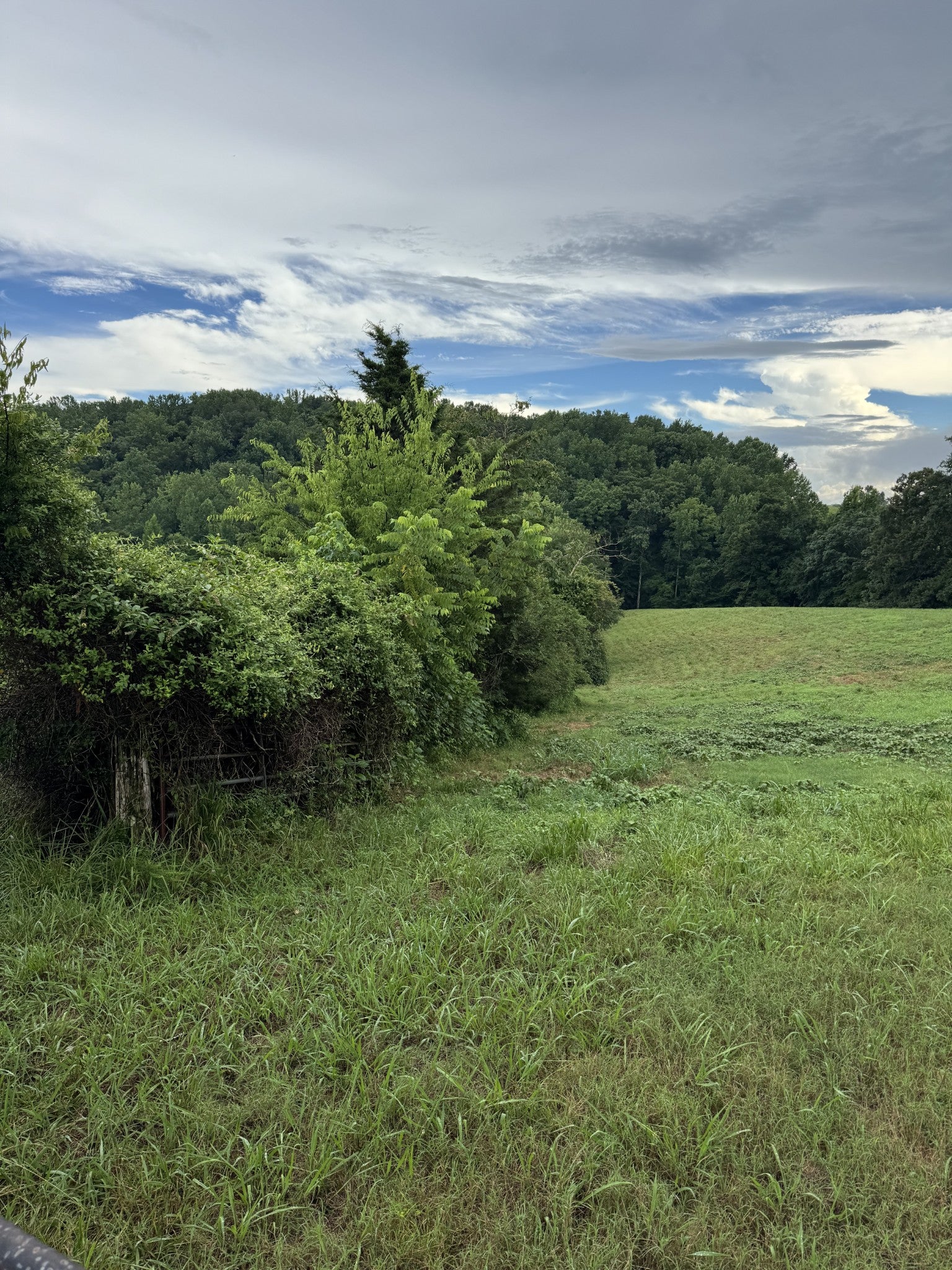 0 Potts Camp Rd