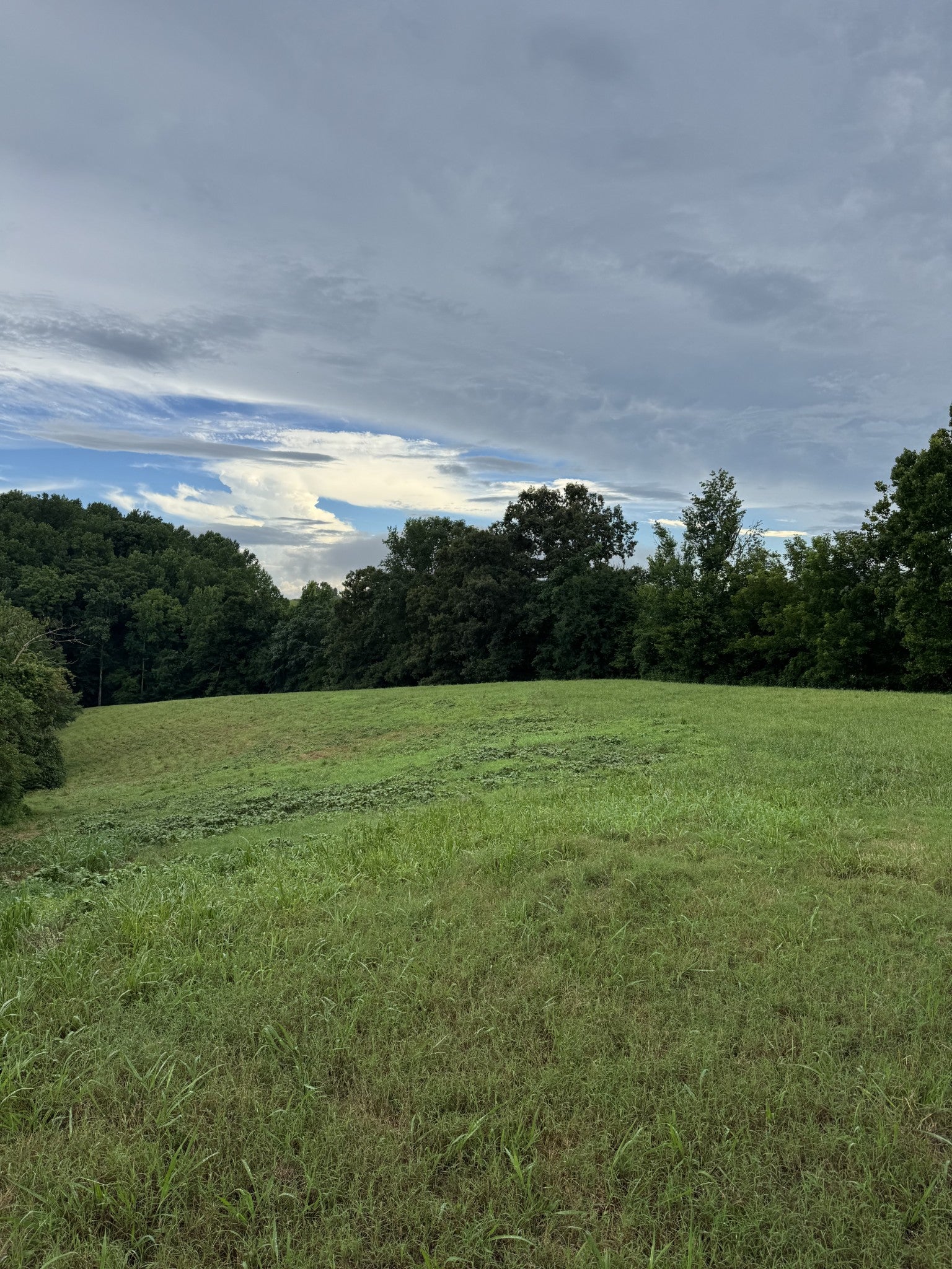 0 Potts Camp Rd