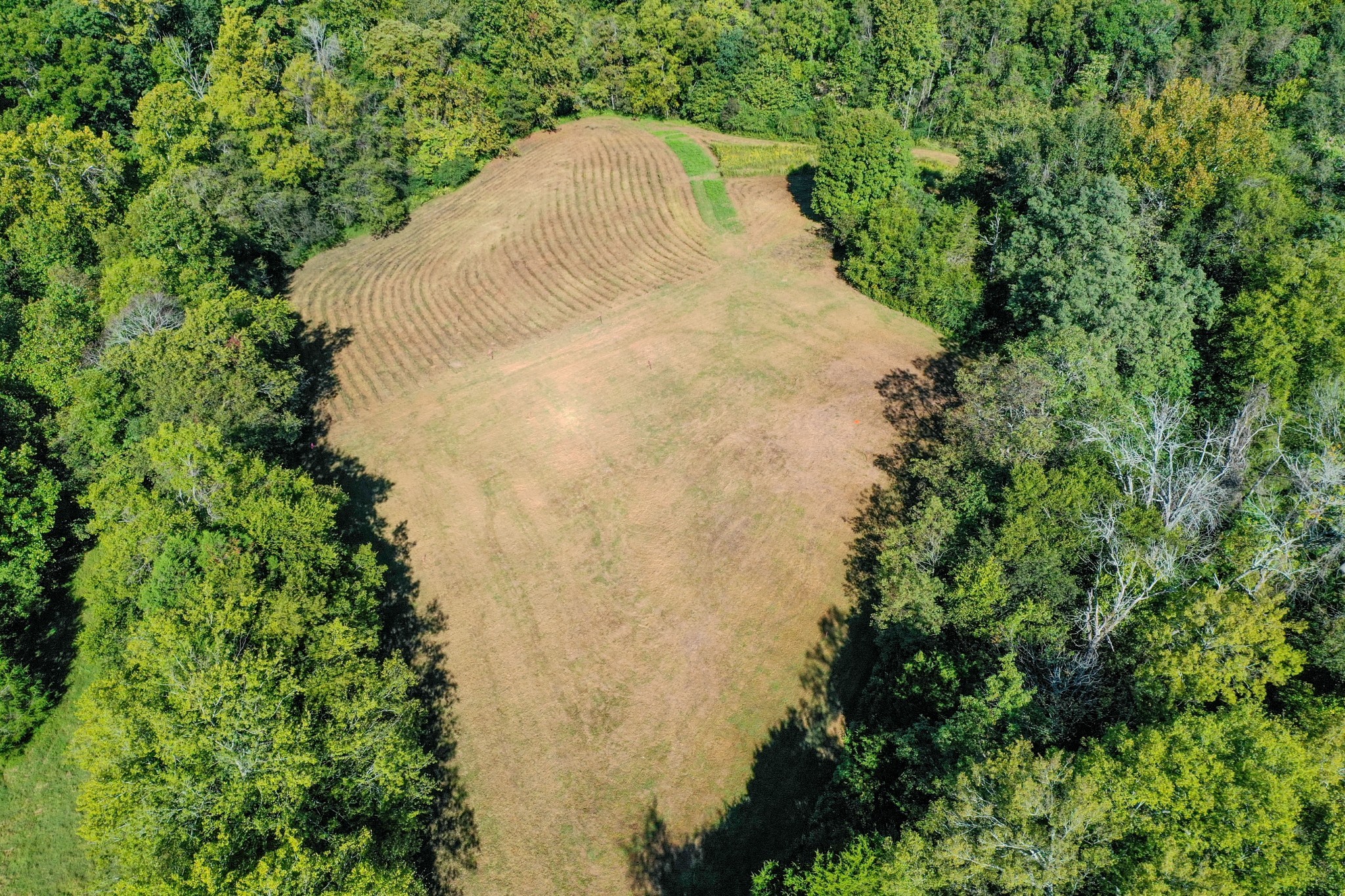 2102 New Lewisburg Hwy