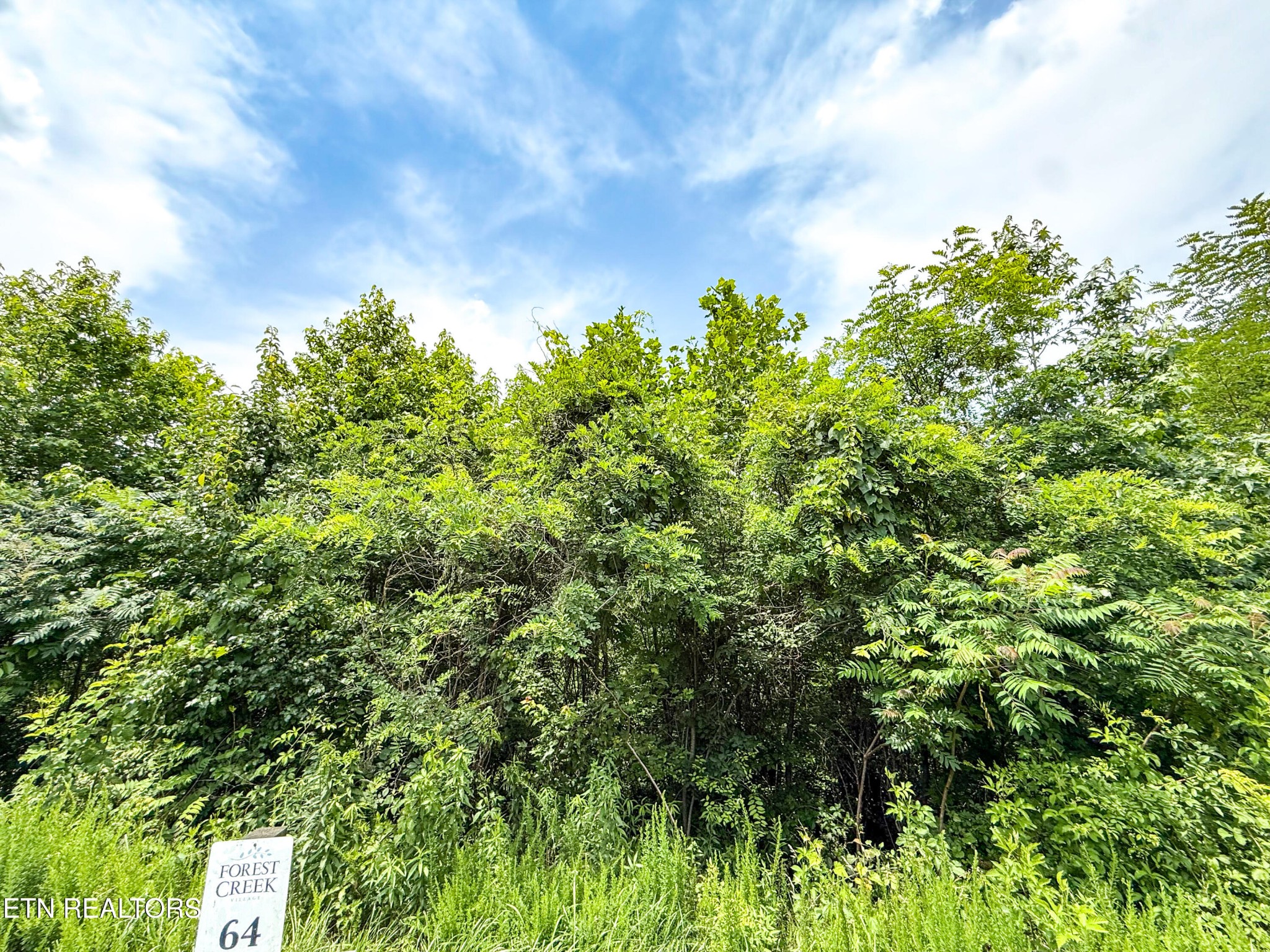 120 Willow Oak Drive