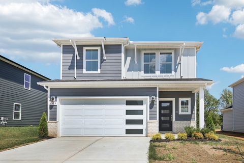 1525 Bear Branch Trace Columbia TN 38401