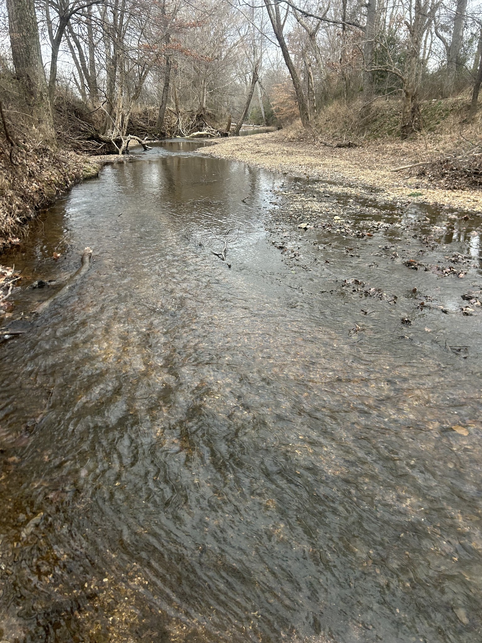 0 Lower Big Sandy Rd