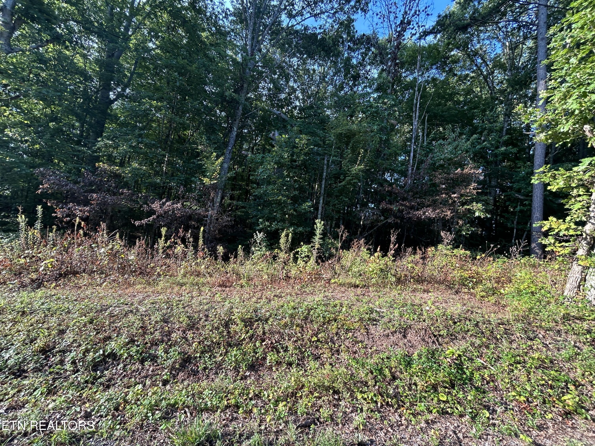 0 Panther Branch Road