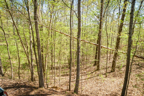 0 FAWN RIDGE RD, PARSONS, TN 38363 - Image 54a85f4e5410e1c2786bb2f6e8af91c2/2213905615