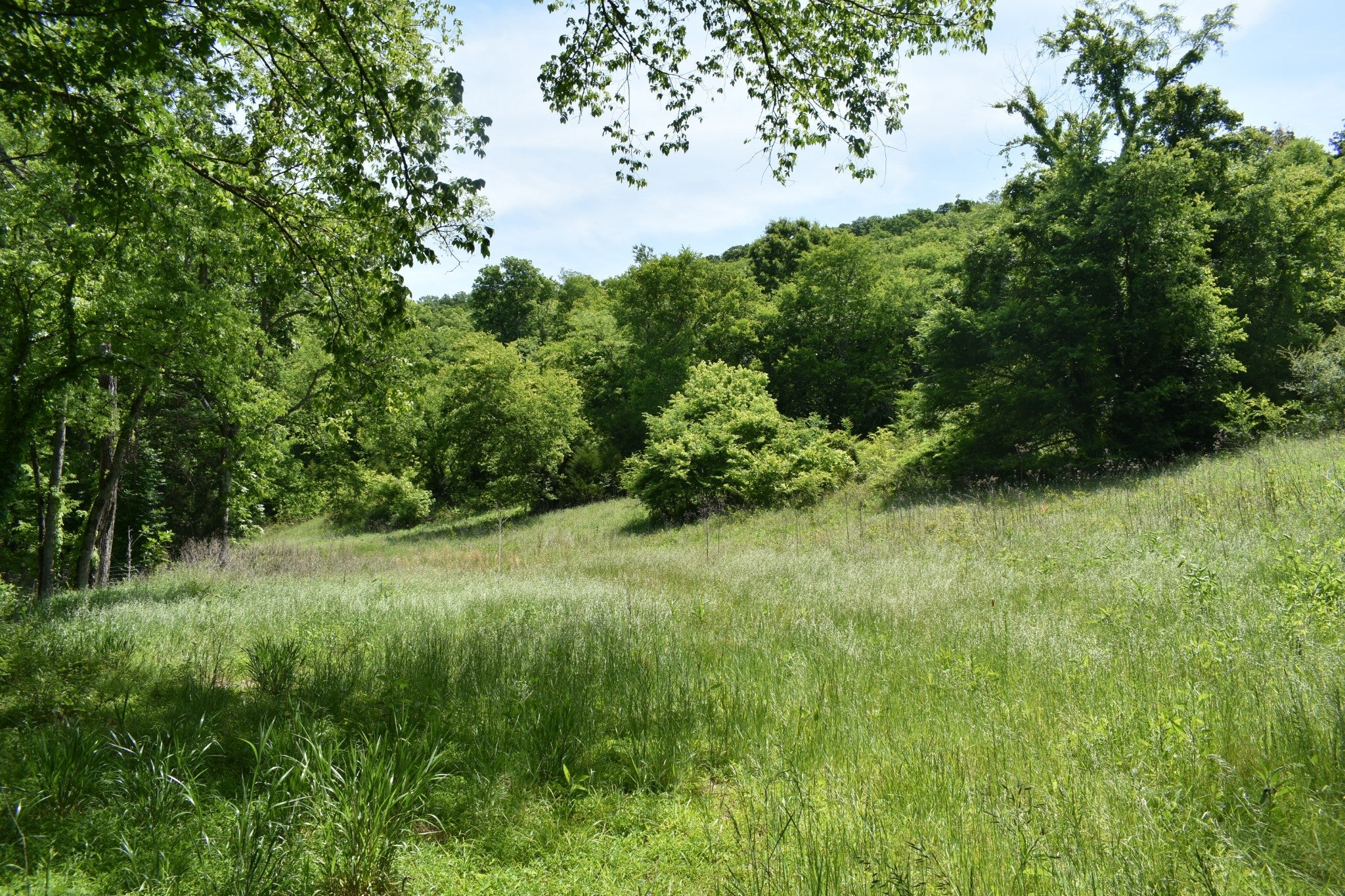 0 Brooks Bend Lane
