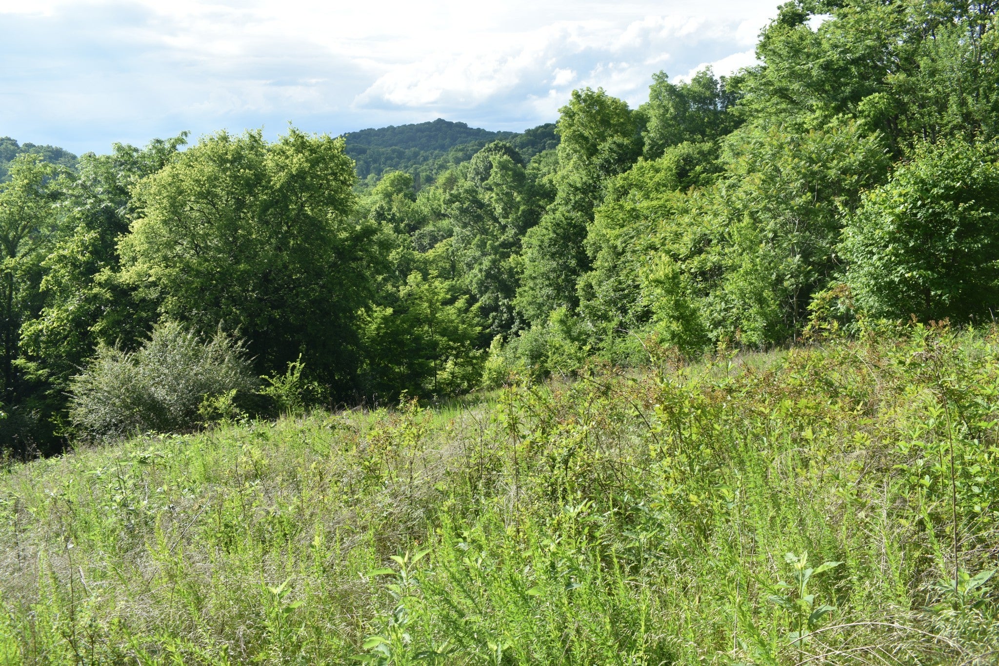 0 Brooks Bend Lane