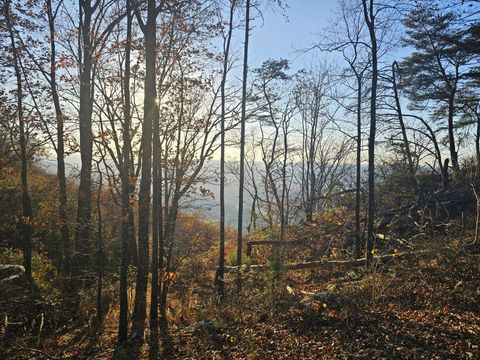 407 Brow Wood Lane Lookout Mountain GA 30750