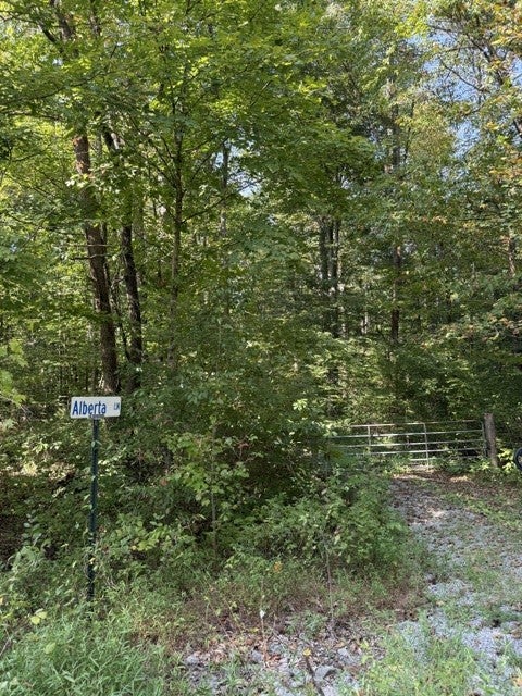 0 Alberta Lane
