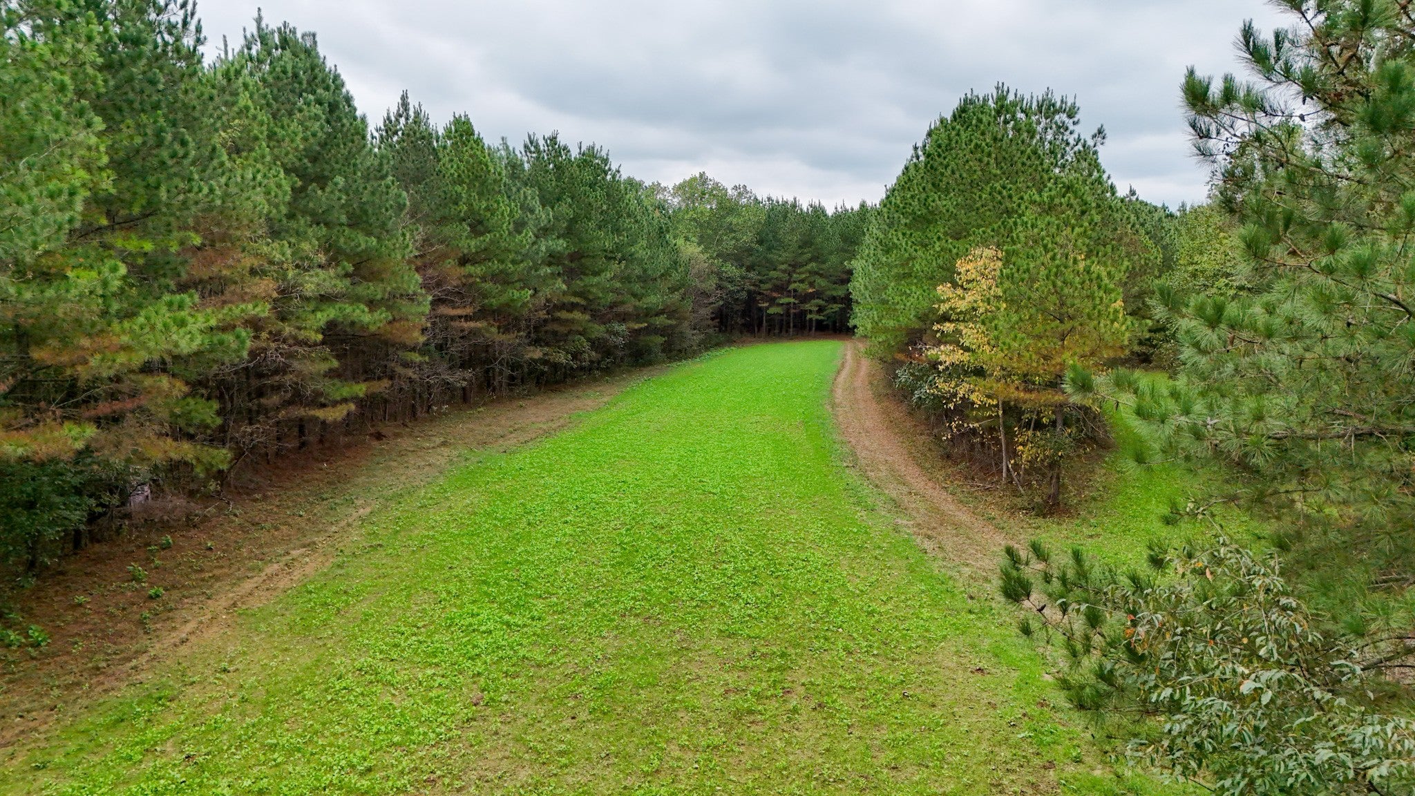 9062 Dry Creek Rd