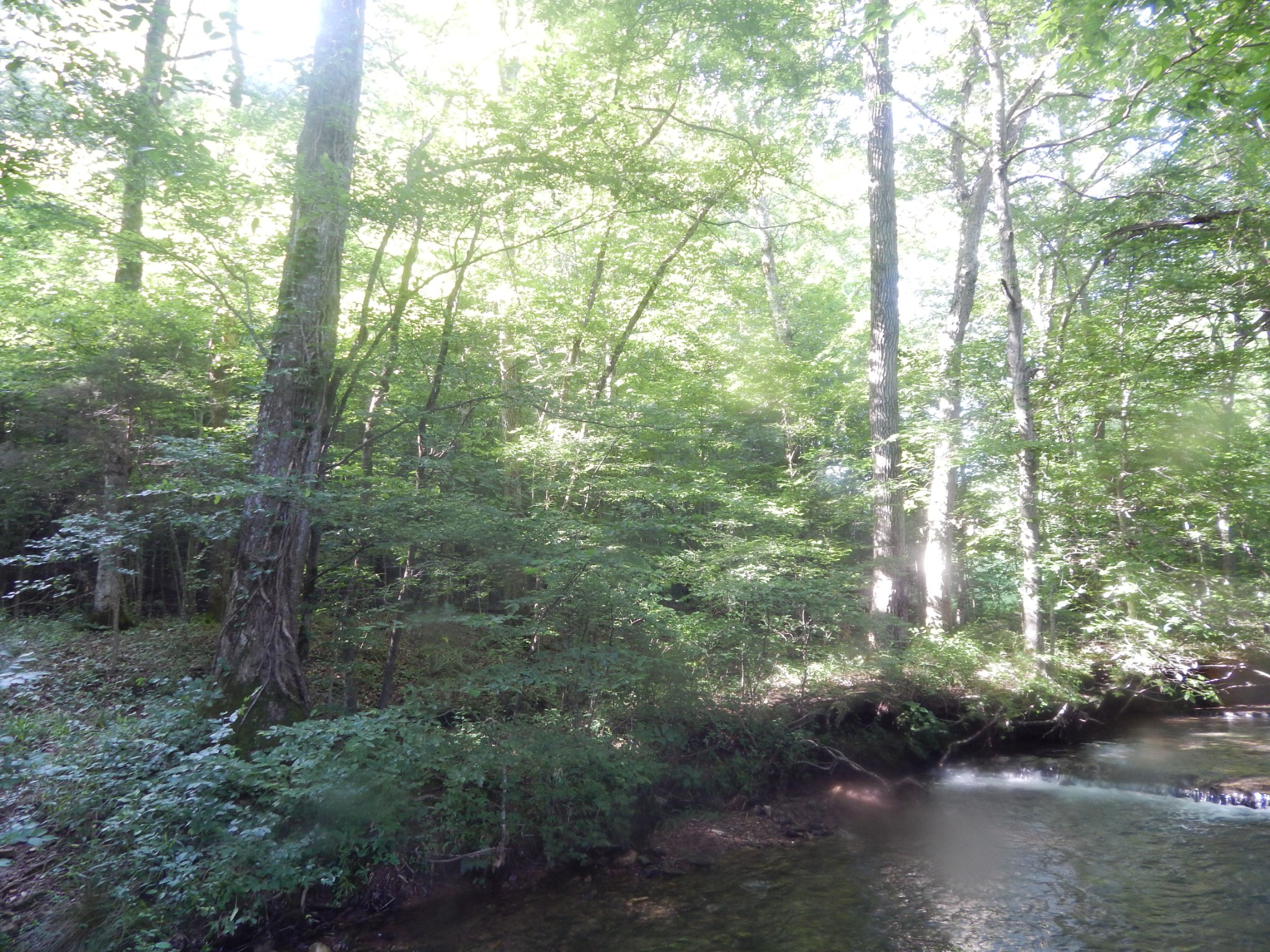 3795 Wayland Springs Rd