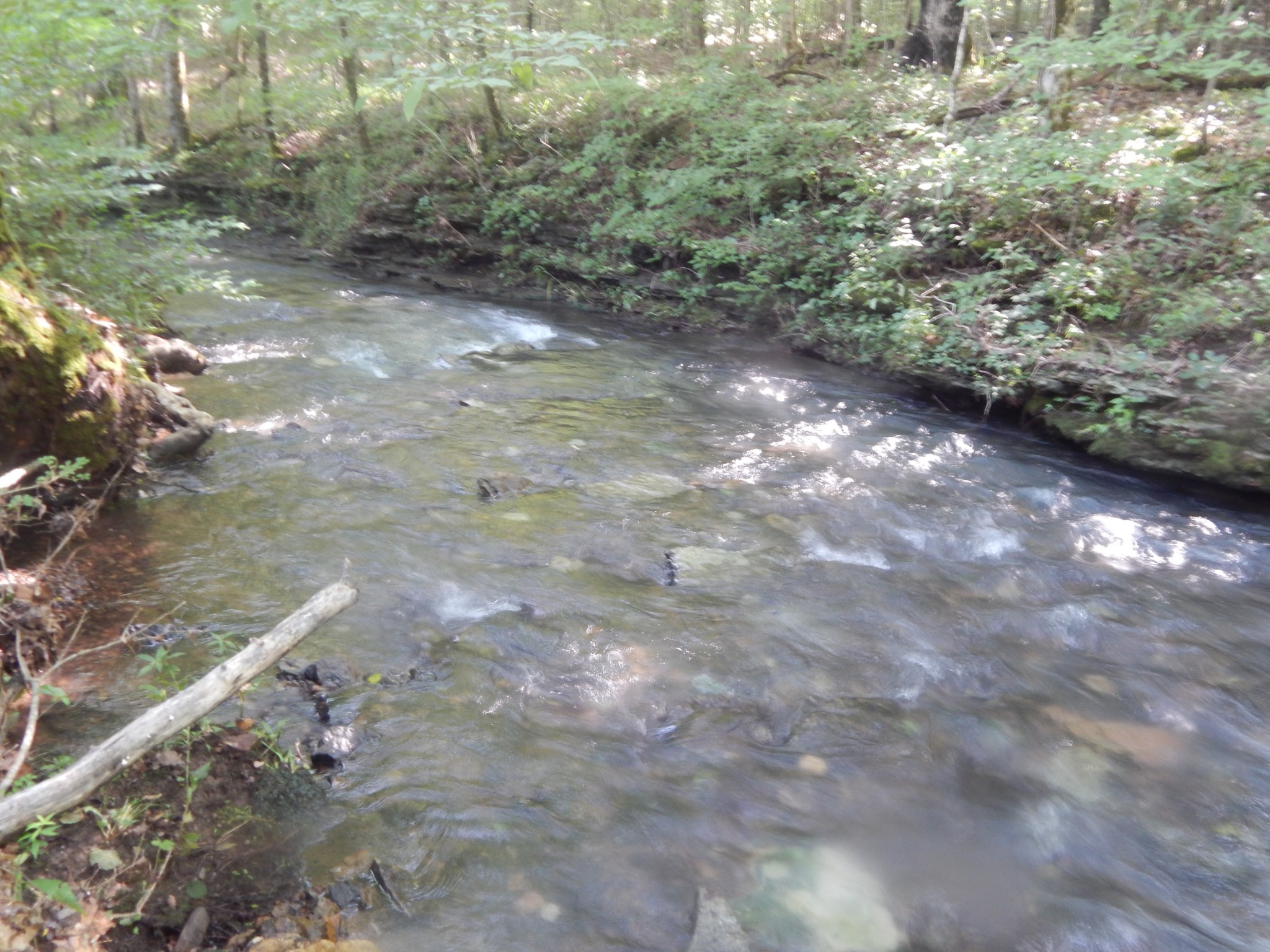 3795 Wayland Springs Rd