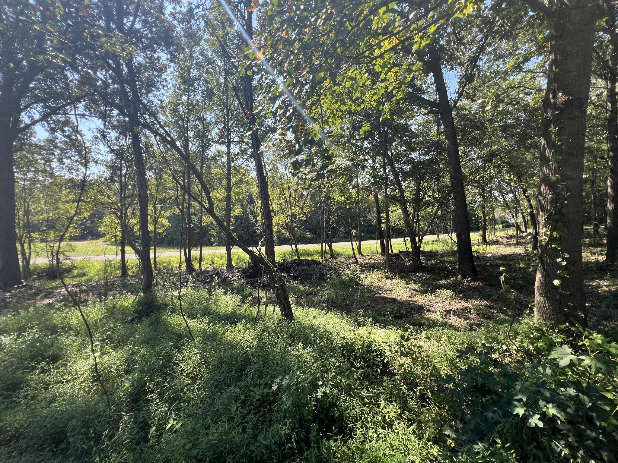0 Forrest Dr