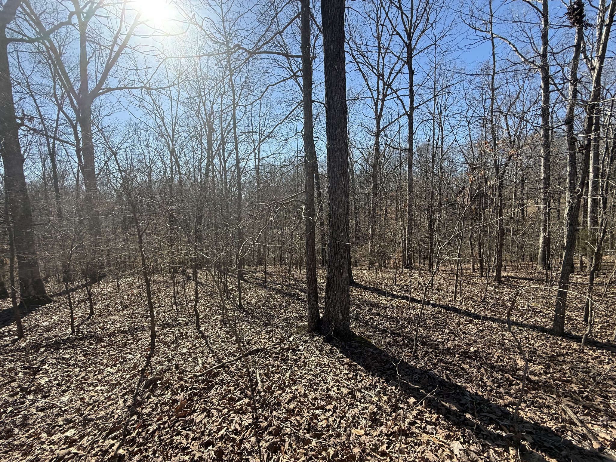 29 Backwoods Estates