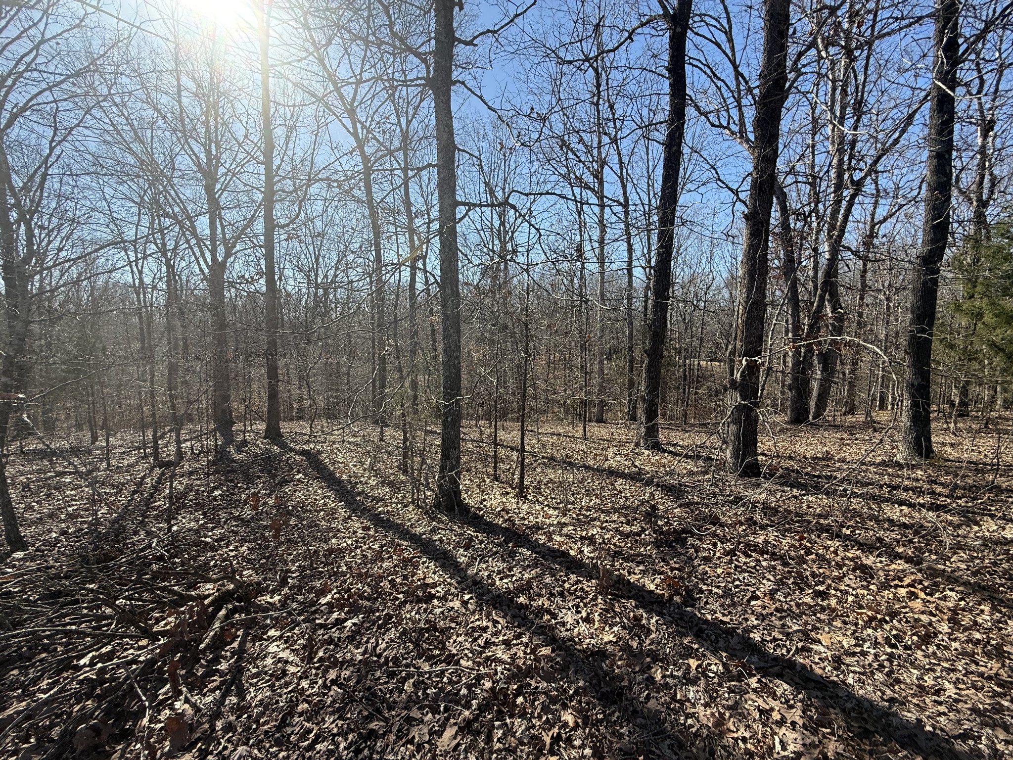 29 Backwoods Estates