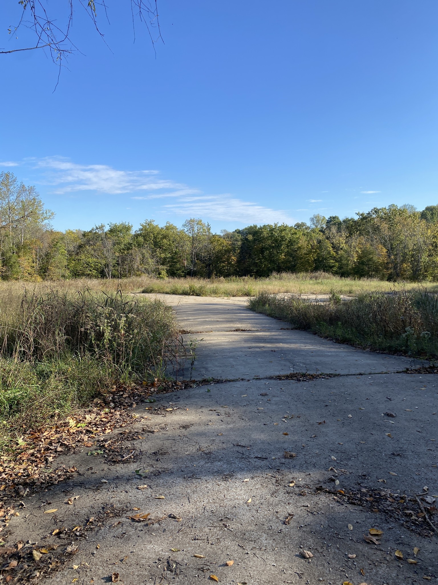 901 Britton Springs Rd