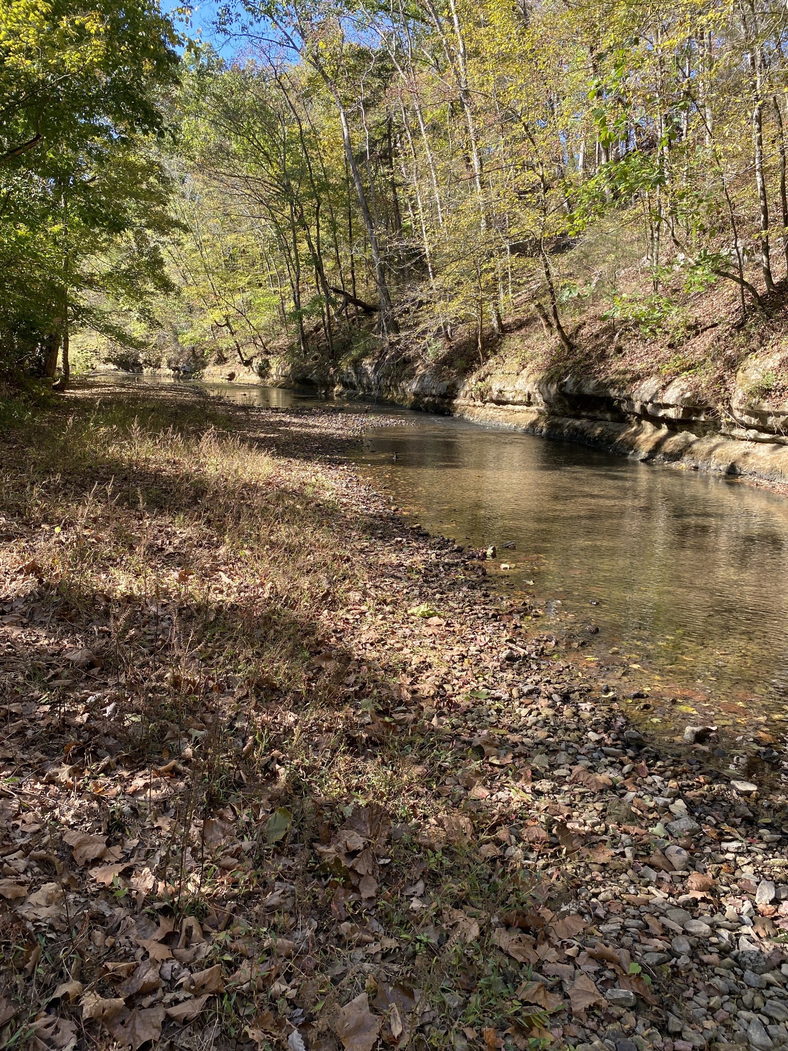 901 Britton Springs Rd