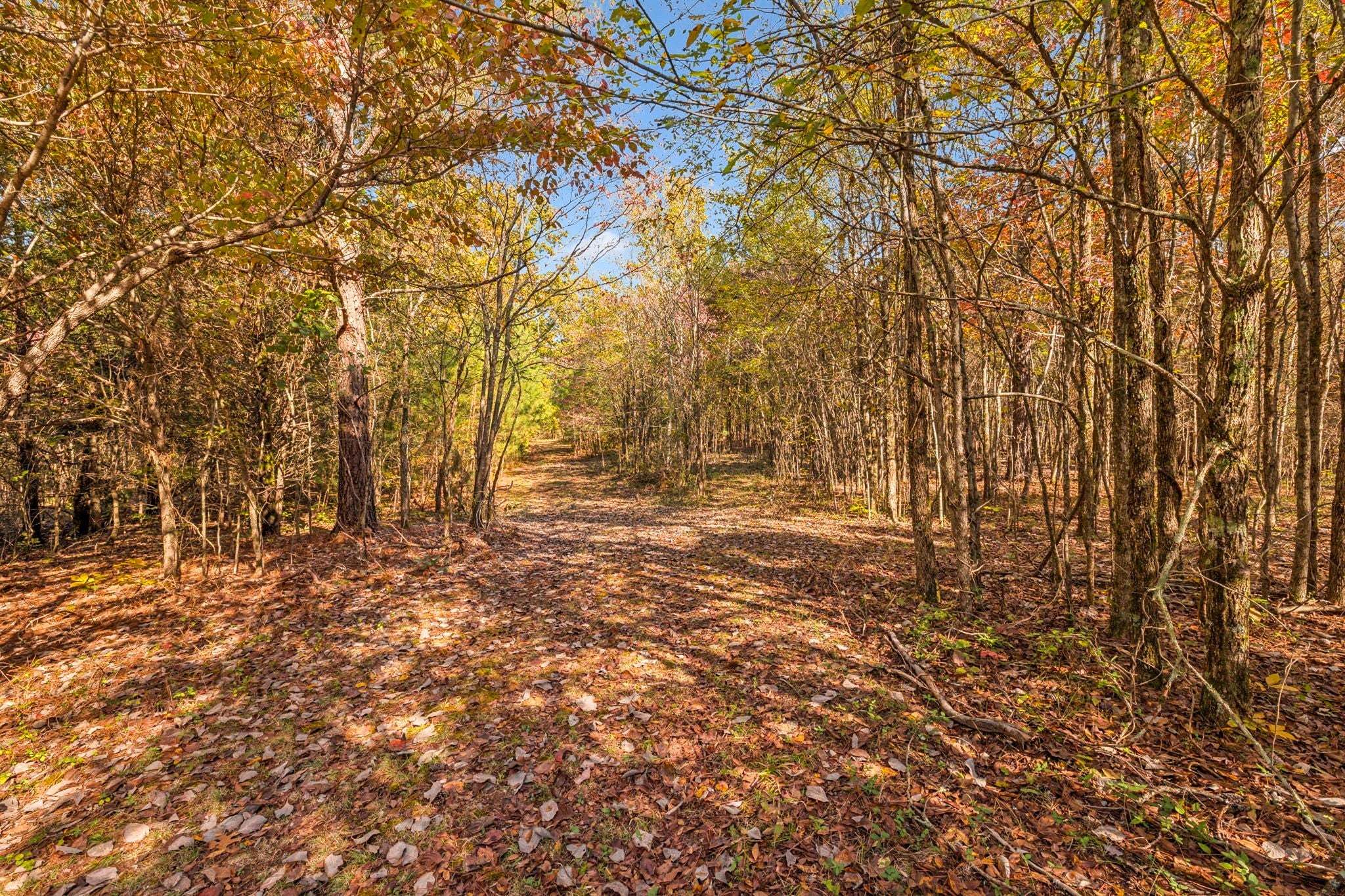 7489 Shoals Branch Rd