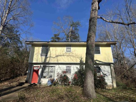 267 LEWTER RD Crump TN 38327