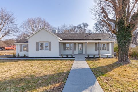 202 Canaan Rd, Mount Pleasant, TN 38474 - MLS#: 2786992