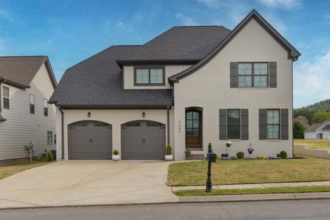 Photo of 9089 Silver Maple Drive, Ooltewah, TN 37363 (MLS # 3168487)