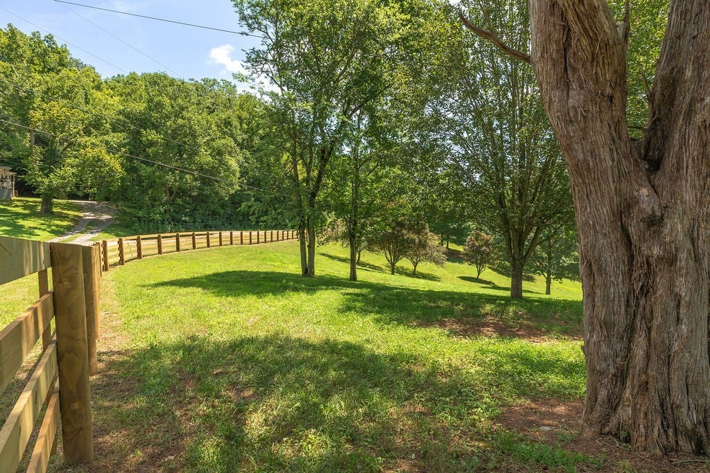 394 Young Hollow Rd