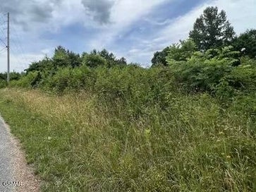 0 SaddleRidge Drive Speedwell TN 37870