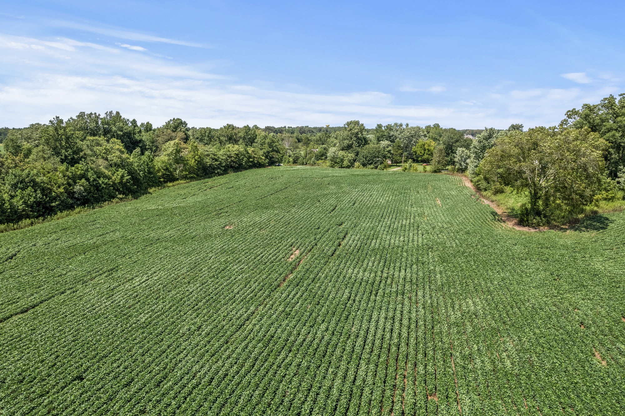 5684 Buffalo Valley Rd