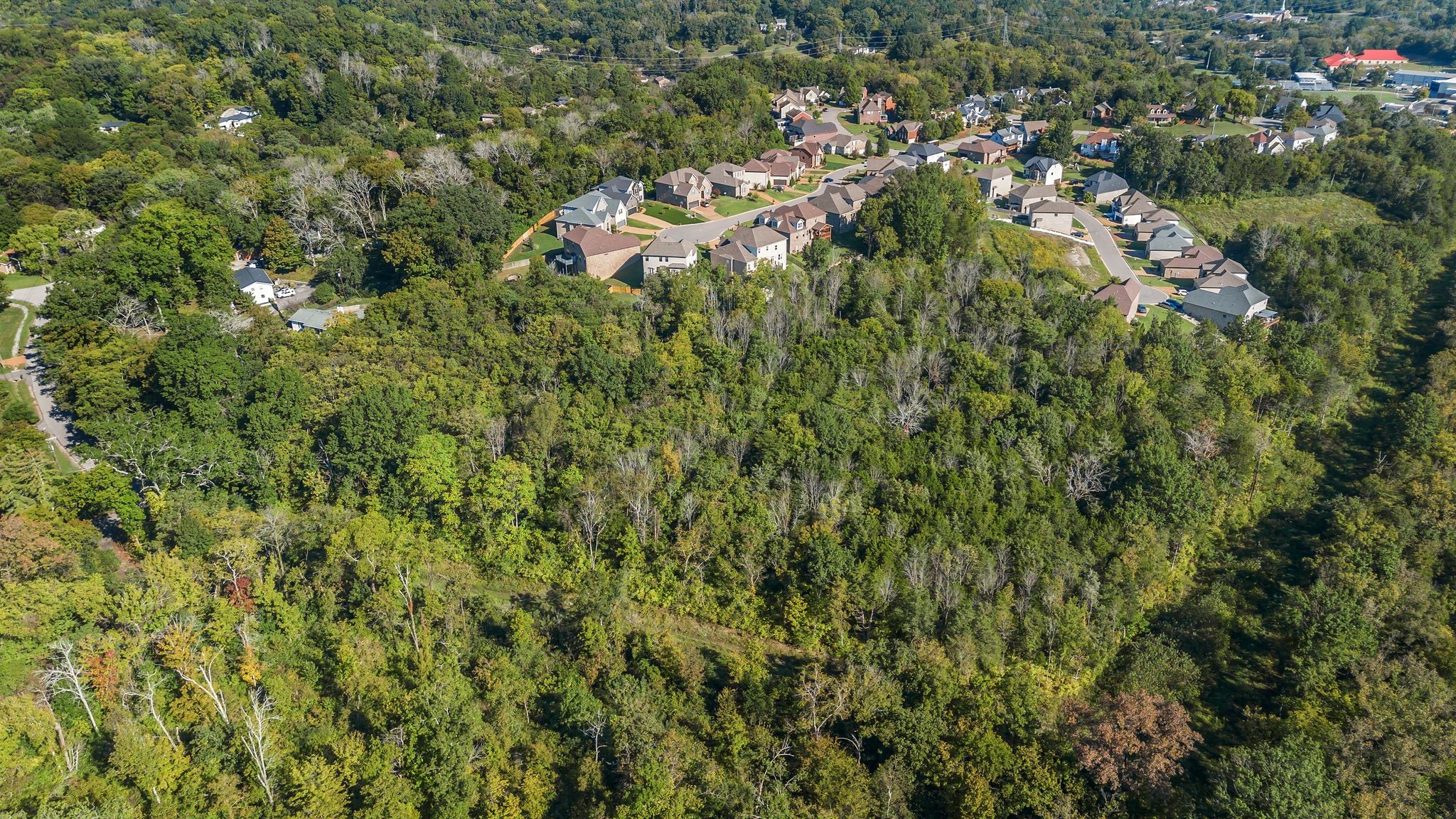 290 Forrest Valley Cir